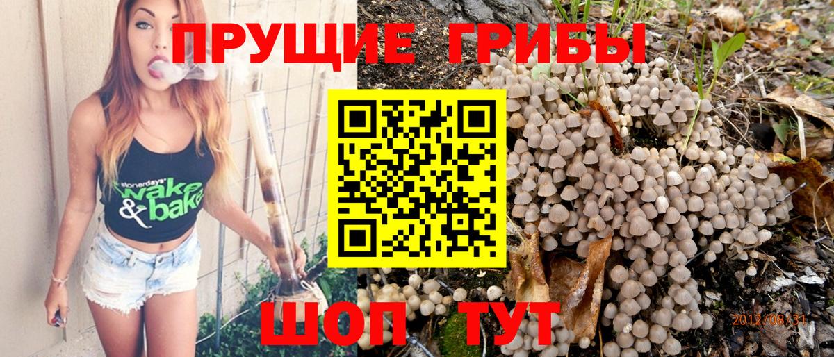 Псилоцибиновые грибы Magic Shrooms Ульяновск
