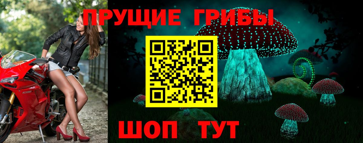 Ульяновск  Галлюциногенные грибы Psilocybe  Вход с VPN 