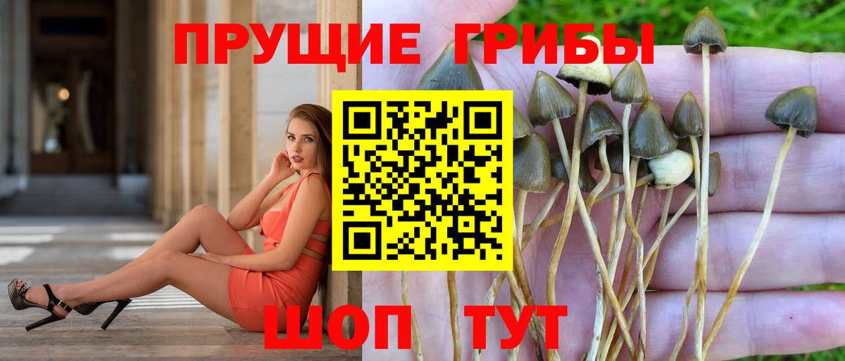 Кокаин  Меф   Ульяновск  МДМА  Метадон  Купить наркотики цена  ГАШ  Вход с VPN 