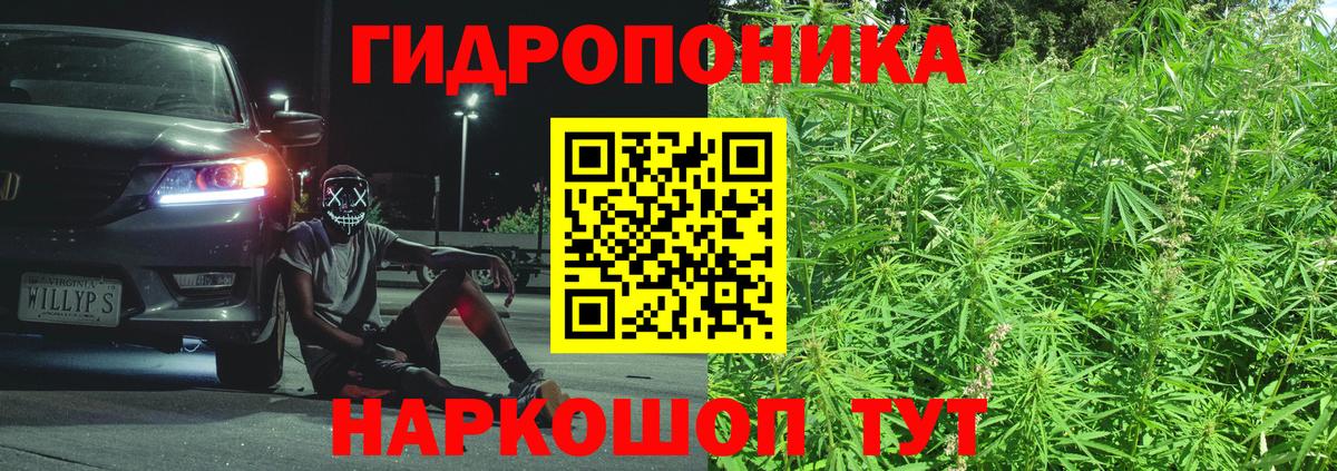 Бошки марихуана сатива Ульяновск